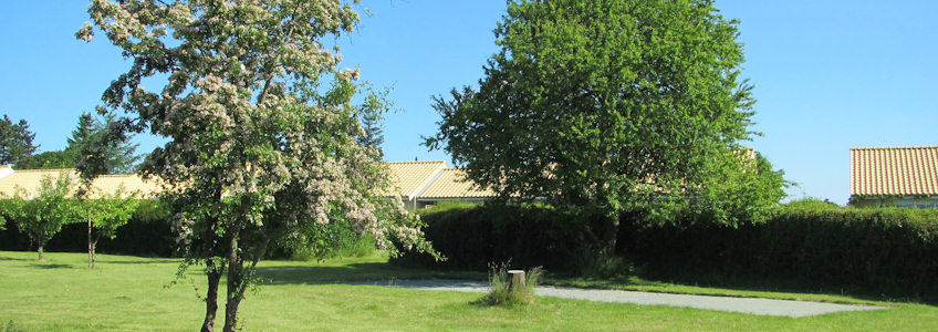 photo5
