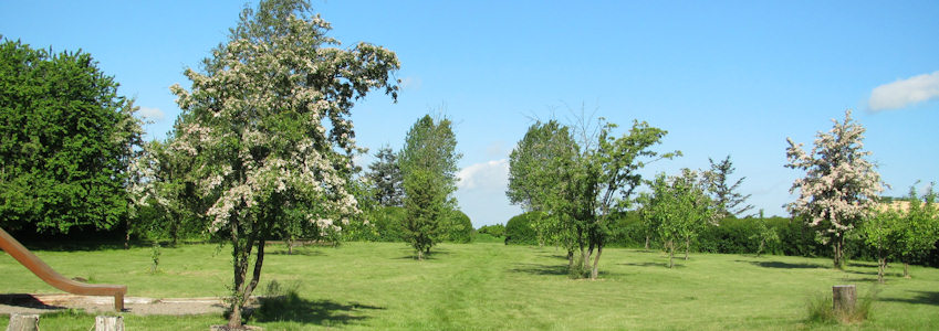 photo6